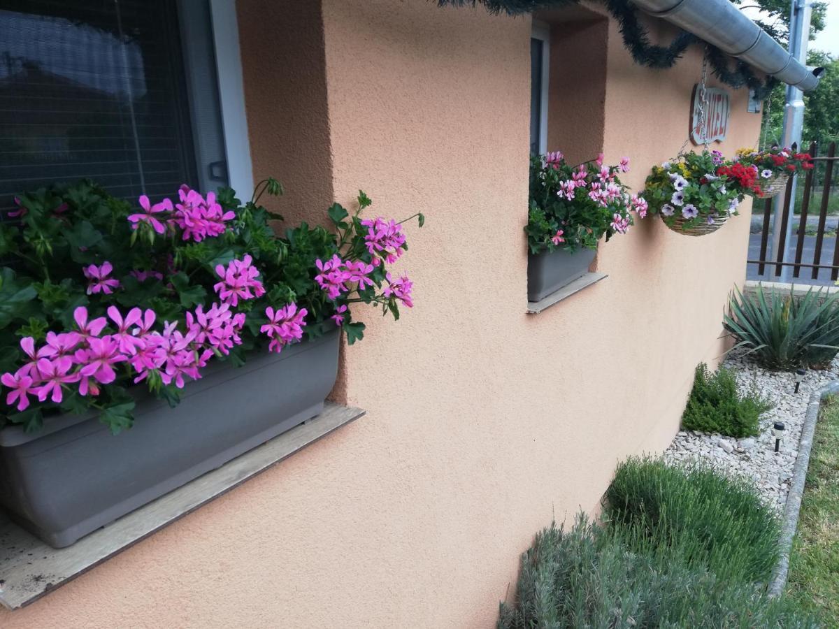 Danieli Holiday Home Štúrovo Esterno foto